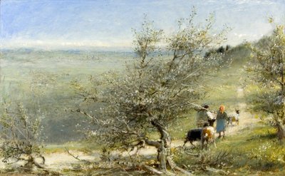 Florencja ze wzgórz w pobliżu Fresole, c.1860-c.1932 (olej, długopis i atrament na pokładzie) autorstwa Albert Goodwin