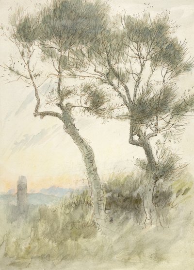 Studium dwóch drzew autorstwa Albert Goodwin