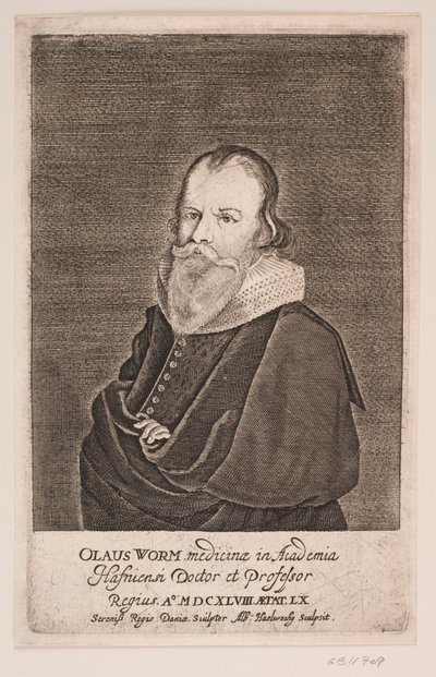 Ole Worm autorstwa Albert Haelwegh