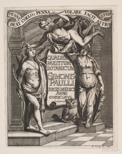 Titelblad til Simon Paulli, „Quadripartitum Botanicum”, 1667 autorstwa Albert Haelwegh