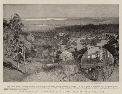 Hodowla owiec w Australii, stacja modelowa w pobliżu Ballarat autorstwa Albert Henry Fullwood
