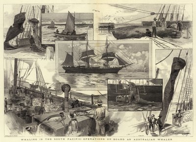 Wielorybnictwo na południowym Pacyfiku, operacje na pokładzie australijskiego wielorybnika autorstwa Albert Henry Fullwood