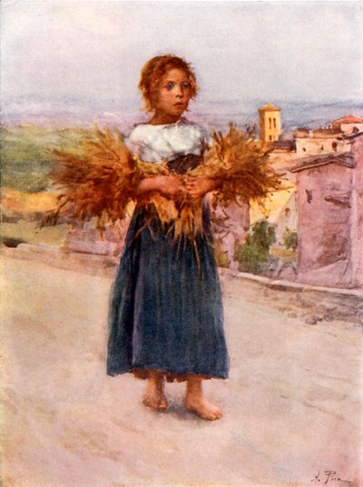Little Gleaner w Kampanii autorstwa Alberto Pisa