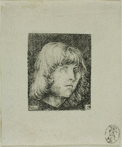 Głowa młodego mężczyzny autorstwa Albrecht Altdorfer