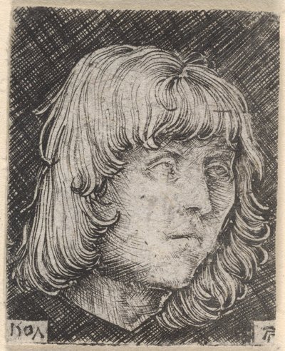 Głowa młodego mężczyzny autorstwa Albrecht Altdorfer