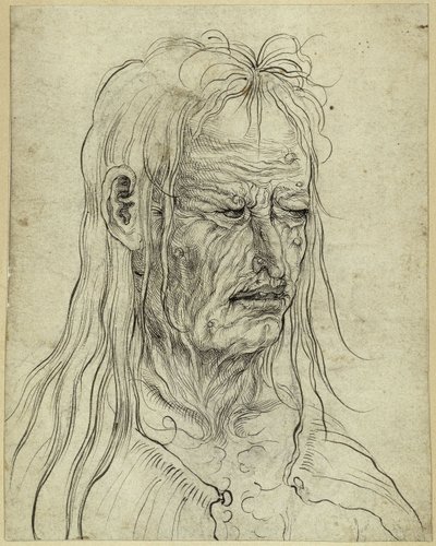 Głowa brzydkiej staruszki, zwrócona w prawo autorstwa Albrecht Altdorfer