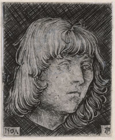 Głowa młodego mężczyzny autorstwa Albrecht Altdorfer