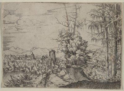 Krajobraz z dwiema sosnami autorstwa Albrecht Altdorfer