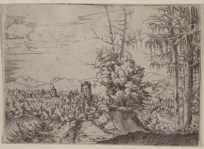 Krajobraz z dwiema sosnami, 1522-1525. autorstwa Albrecht Altdorfer