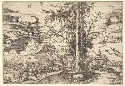 Pejzaż z Podwójnym Świerkiem, ca. 1521-22. autorstwa Albrecht Altdorfer