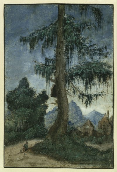 Krajobraz ze świerkiem autorstwa Albrecht Altdorfer