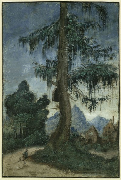 Krajobraz ze świerkiem autorstwa Albrecht Altdorfer
