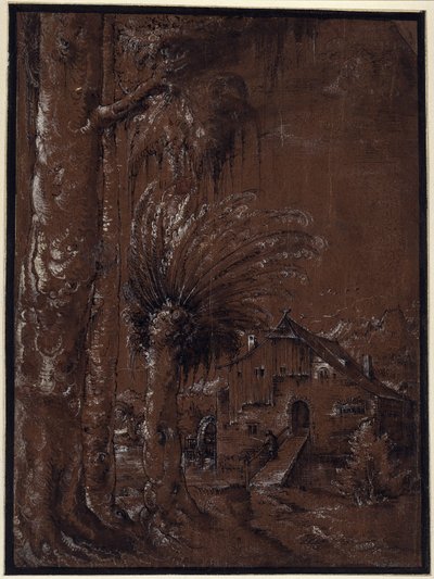 Pejzaż z młynem wodnym autorstwa Albrecht Altdorfer