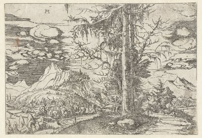 Krajobraz z podwójną jodłą autorstwa Albrecht Altdorfer