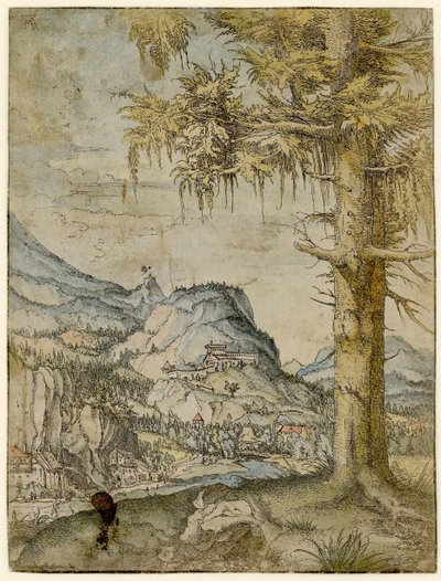 Świerk Duży, ok. 1517-1520. autorstwa Albrecht Altdorfer