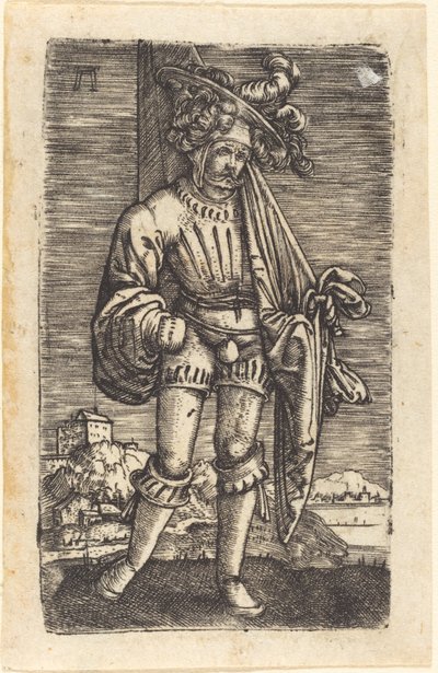 Mały chorąży autorstwa Albrecht Altdorfer