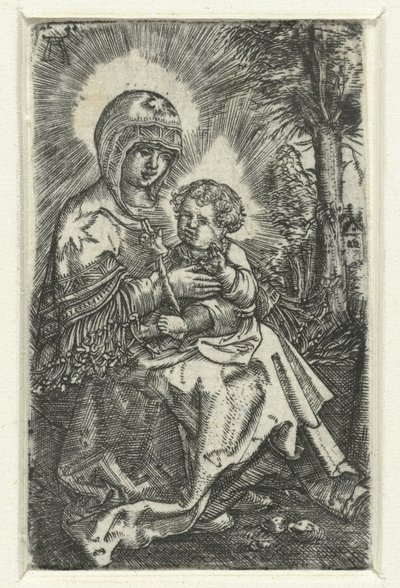Maria spotkała się z życzliwością w krajobrazie Piękna Maria z Ratyzbony autorstwa Albrecht Altdorfer