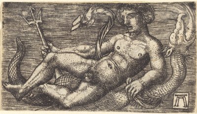 Neptun na morskim potworze autorstwa Albrecht Altdorfer