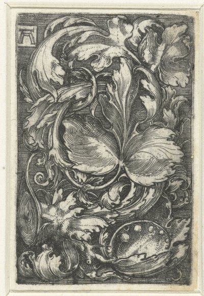 Ornament spotkał się z bladranken autorstwa Albrecht Altdorfer