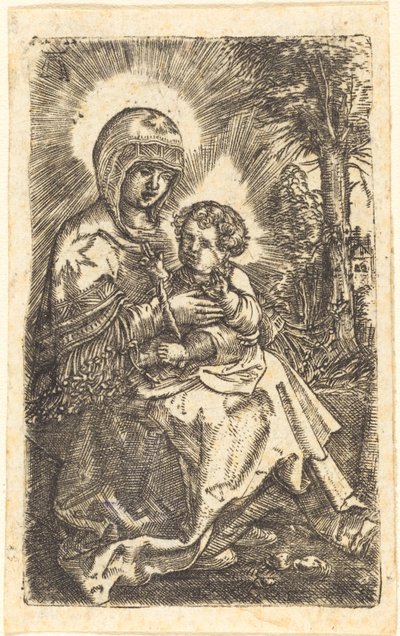 „Piękna Dziewica” z Ratyzonia w krajobrazie autorstwa Albrecht Altdorfer