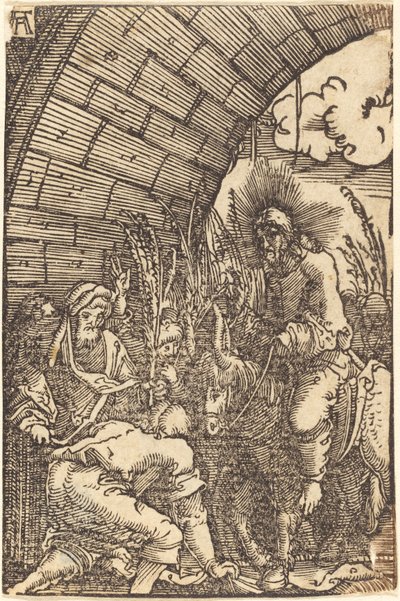 Wjazd do Jerozolimy autorstwa Albrecht Altdorfer