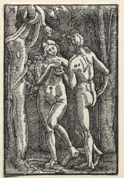 Upadek i odkupienie człowieka: Adam i Ewa jedzący zakazany owoc, c. 1515. autorstwa Albrecht Altdorfer