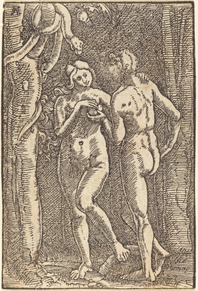 Upadek człowieka autorstwa Albrecht Altdorfer