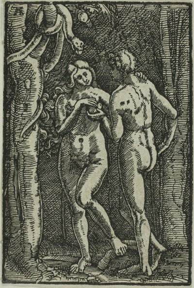 Upadek człowieka, z książki Upadek i odkupienie człowieka autorstwa Albrecht Altdorfer