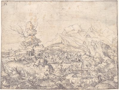 Wielki Krajobraz z Młynem Wodnym autorstwa Albrecht Altdorfer