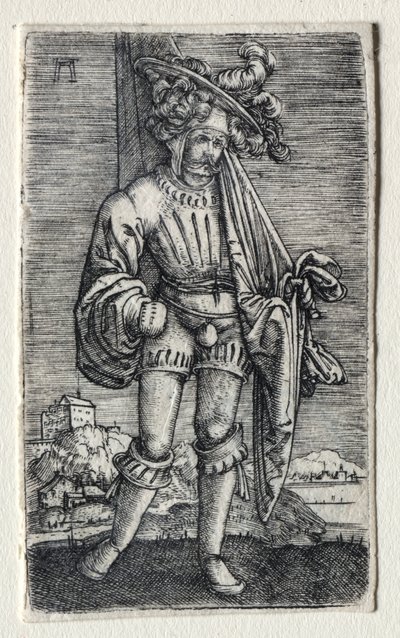 Mały chorąży autorstwa Albrecht Altdorfer
