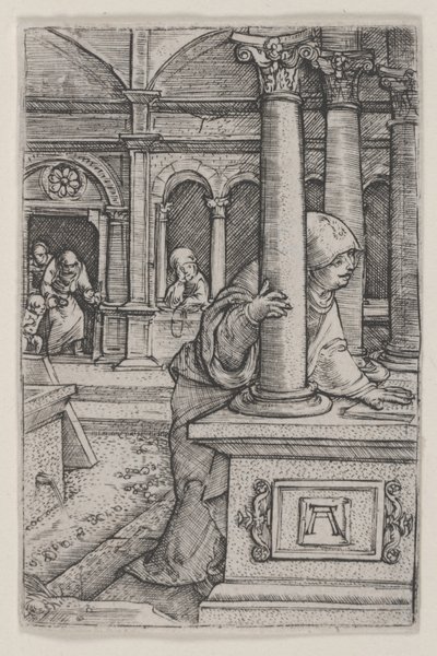Dziewica szukająca Jezusa w świątyni autorstwa Albrecht Altdorfer
