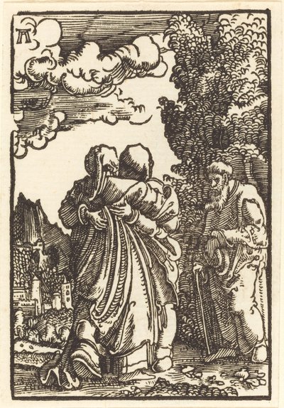 Nawiedzenie Matki Boskiej autorstwa Albrecht Altdorfer