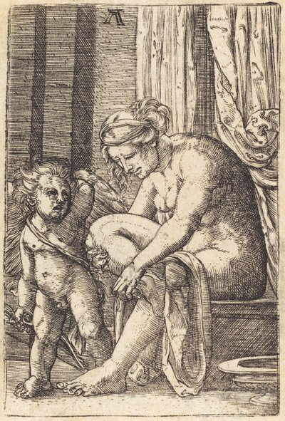 Wenus po kąpieli autorstwa Albrecht Altdorfer