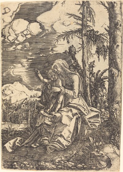 Dziewica w krajobrazie autorstwa Albrecht Altdorfer
