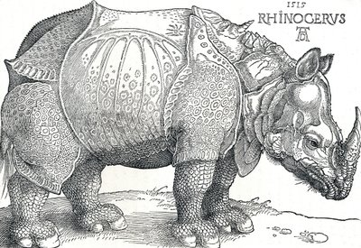 Nosorożec, 1515, 1906 autorstwa Albrecht Dürer