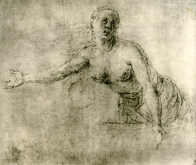 Studium, 1913 autorstwa Albrecht Dürer