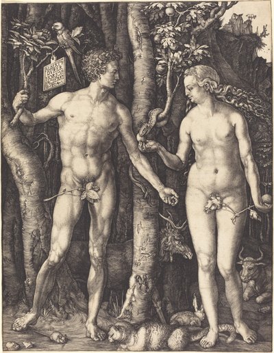 Adam i Ewa autorstwa Albrecht Dürer