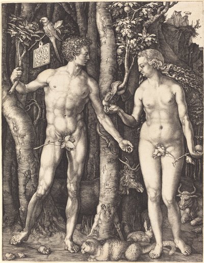 Adam i Ewa autorstwa Albrecht Dürer