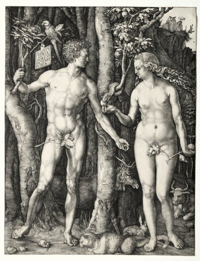Adam i Ewa autorstwa Albrecht Dürer