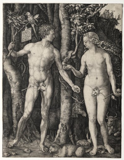 Adam i Ewa autorstwa Albrecht Dürer