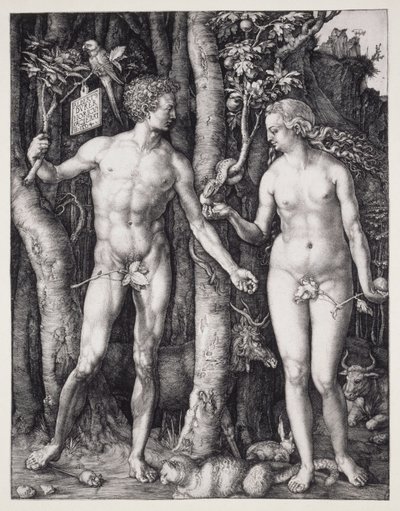 Adam i Ewa autorstwa Albrecht Dürer