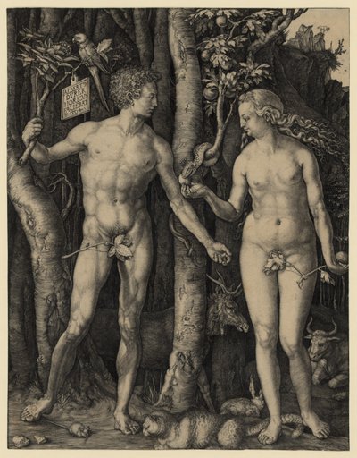 Adam i Ewa autorstwa Albrecht Dürer
