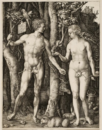 Adam i Ewa autorstwa Albrecht Dürer