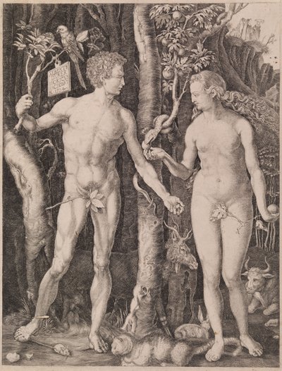 Adam i Ewa autorstwa Albrecht Dürer