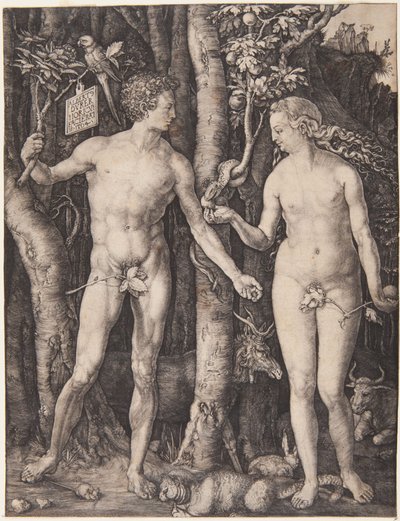  autorstwa Albrecht Dürer