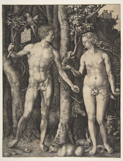 autorstwa Albrecht Dürer