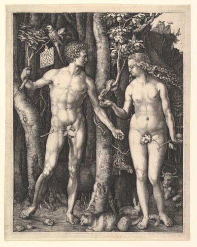  autorstwa Albrecht Dürer