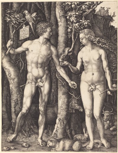  autorstwa Albrecht Dürer
