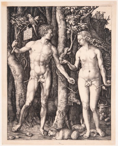 Adam i Ewa autorstwa Albrecht Dürer