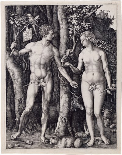  autorstwa Albrecht Dürer